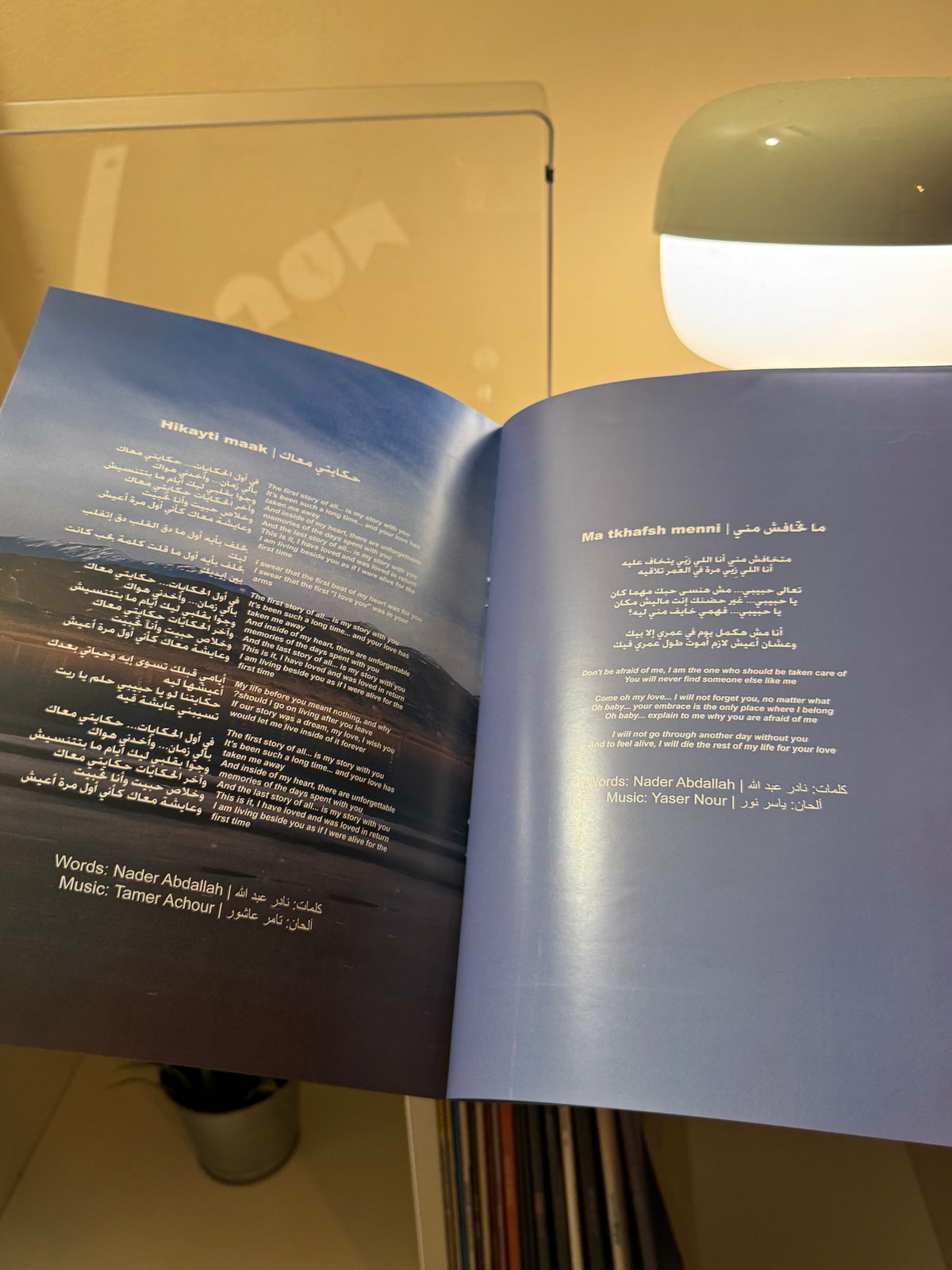 Elissa | bastanak 20th Anniversary photobook - اليسا | كتيب صور بستناك