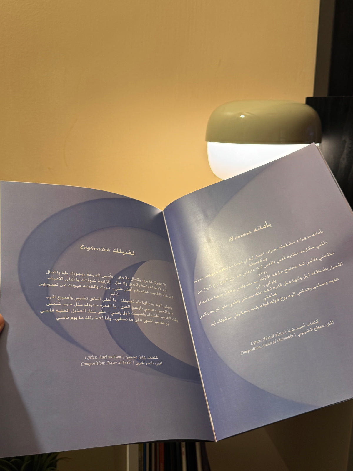 Ranin | habib albie 20th Anniversary photobook - رنين | كتيب صور حبيب قلبي