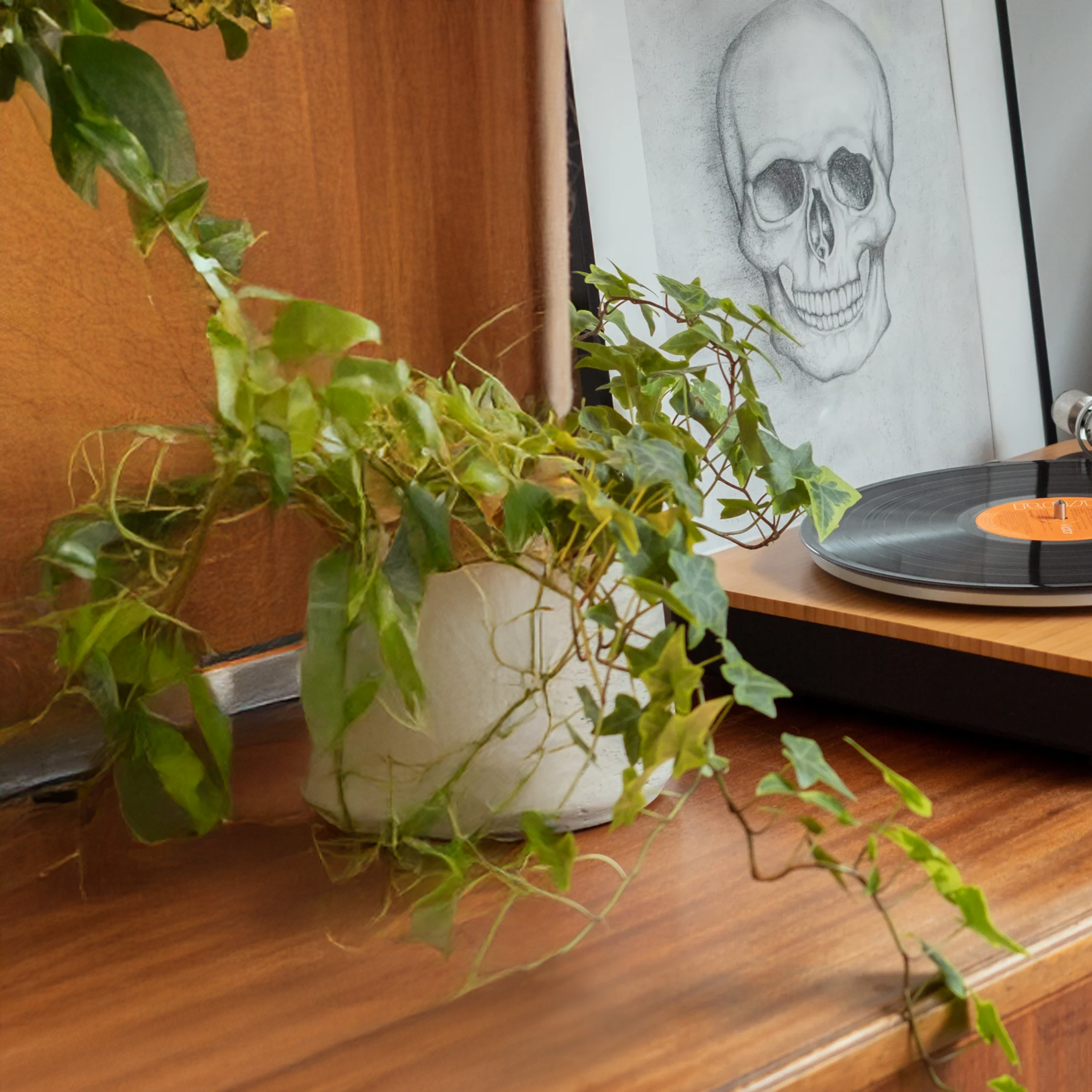 House of marley vinyl record player - مشغل الأسطوانات من هاوس اوف مارلي